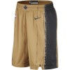 NBA Mænd Toronto Raptors Shorts 2023-24 Nike City Edition Swingman
